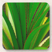 Dessous-de-verre Fermeture de la colonne vertébrale (Devant)