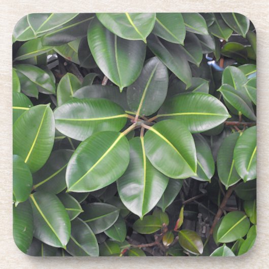 Dessous-de-verre Fermeture de l'arbre en caoutchouc (Devant)