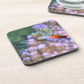 Dessous-de-verre Fermez-vous d'un poisson de dard du feu, (Côté gauche)