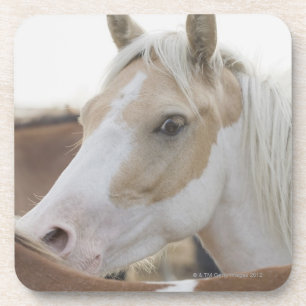Dessous-de-verre Fermez-vous d'un troupeau des chevaux 2