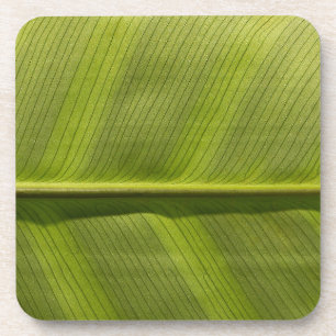 Dessous-de-verre feuille