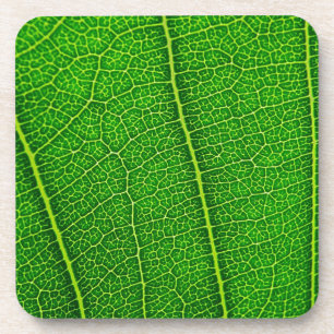 Dessous-de-verre Feuille