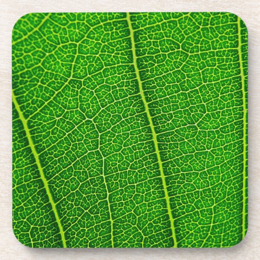 Dessous-de-verre Feuille (Devant)