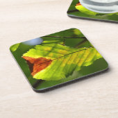 Dessous-de-verre Feuille de chute verte (Côté gauche)