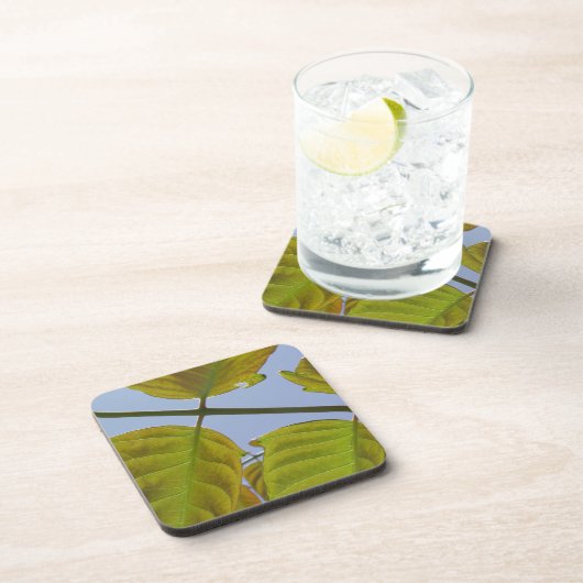 Dessous de verre feuille ressort (Côté Droit)