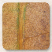 Dessous-de-verre Feuille tombée 11 (Devant)