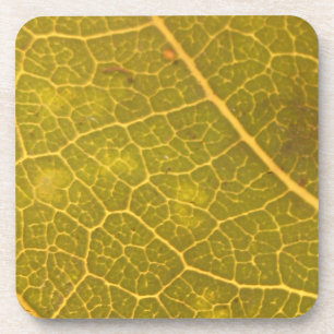 Dessous-de-verre Feuille tombée 13A