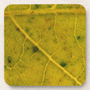 Dessous-de-verre Feuille tombée 15A