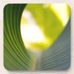 Dessous-de-verre Feuille verte