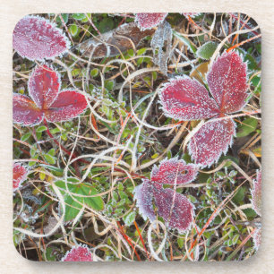 Dessous-de-verre Feuilles couvertes de givre, Canada