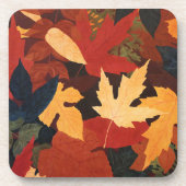 Dessous de verre Feuilles d'automne (Devant)