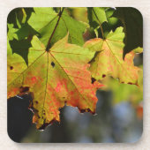 Dessous-de-verre Feuilles de chute colorées (Devant)