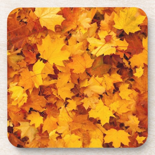 Dessous-de-verre Feuilles d'érable jaune d'automne (Devant)
