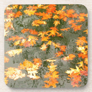 Dessous-de-verre feuilles tombés sous la pluie