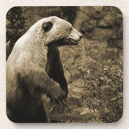 Dessous-de-verre Fière Ours (Devant)