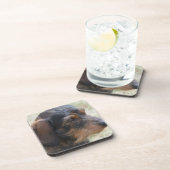 Dessous-de-verre Fil mignon Dashchund d'une chevelure (Côté Droit)