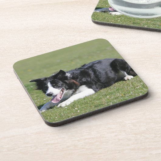 Dessous-de-verre Fixation de border collie (Côté gauche)