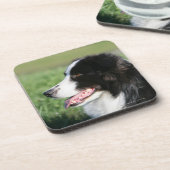 Dessous-de-verre Fixation de chiot de border collie (Côté gauche)