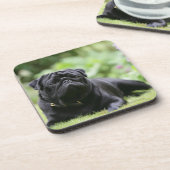 Dessous-de-verre Fixation noire de carlin (Côté gauche)