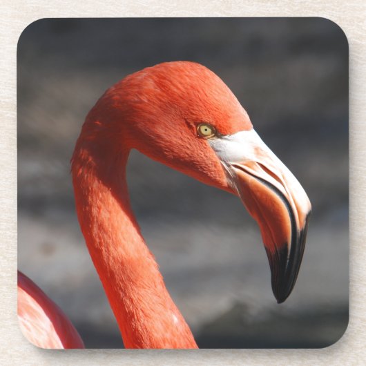 Dessous-de-verre Flamant rose (Devant)