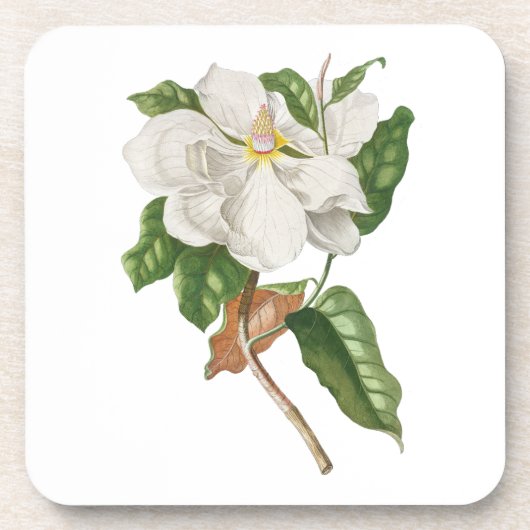 Dessous-de-verre Fleur : A004 Magnolia - (Devant)