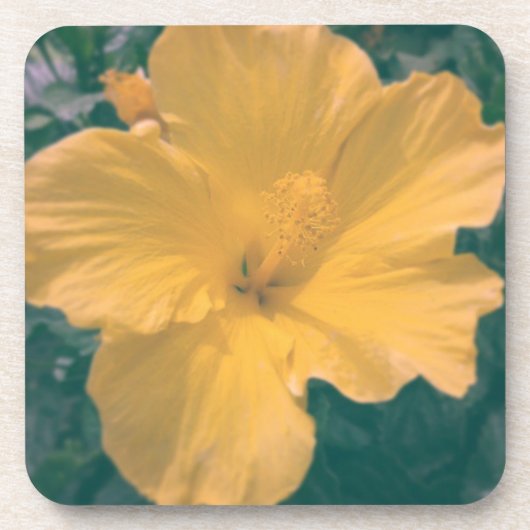 Dessous-de-verre Fleur aux Allures Tropicales (Devant)