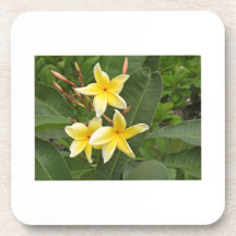 Fleur botanique de Plumeria jaune