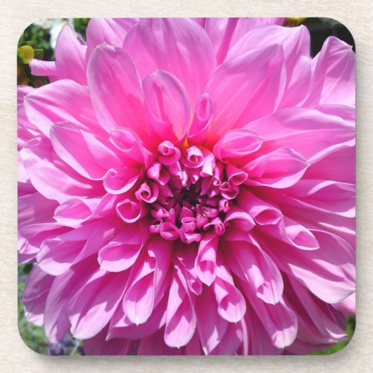Dessous-de-verre Fleur Dahlia Rose violet (Devant)