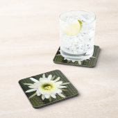 Dessous-de-verre Fleur De Cactus De Nuit, Région De Karoo (Côté Droit)