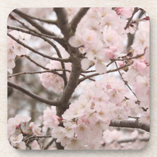Dessous-de-verre Fleur de cerise (Devant)