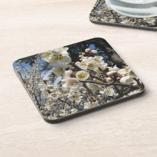 Dessous-de-verre Fleur de cerisier blanc / Sakura / ク(桜)