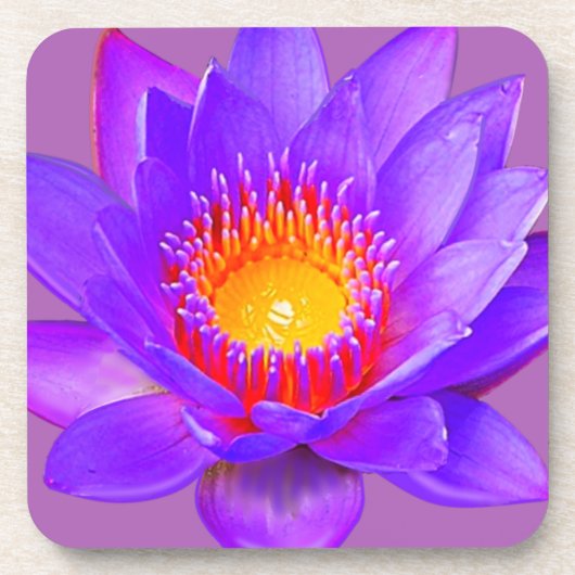 Dessous-de-verre Fleur de lotus violette (Devant)