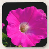 Dessous-de-verre fleur de pétunia rose (Devant)
