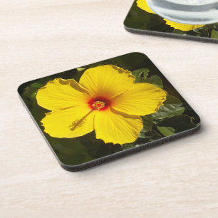 Dessous-de-verre Fleur d'Hibiscus jaune