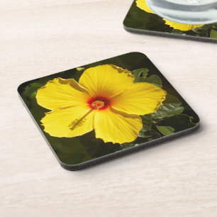 Dessous-de-verre Fleur d'Hibiscus jaune