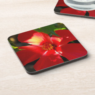 Dessous-de-verre Fleur d'Hibiscus rouge au soleil