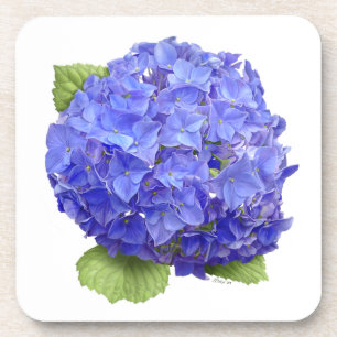 Dessous-de-verre Fleur d'hortensia bleue