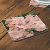 Fleur d'Iris à poil rose
