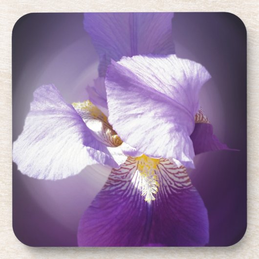 Dessous-de-verre fleur d'iris pourpre (Devant)