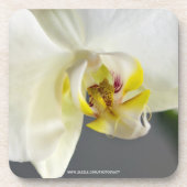 Dessous-de-verre Fleur d'orchidée blanche (Devant)