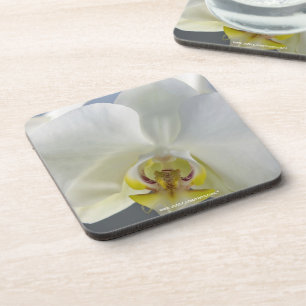 Dessous-de-verre Fleur d'orchidée blanche