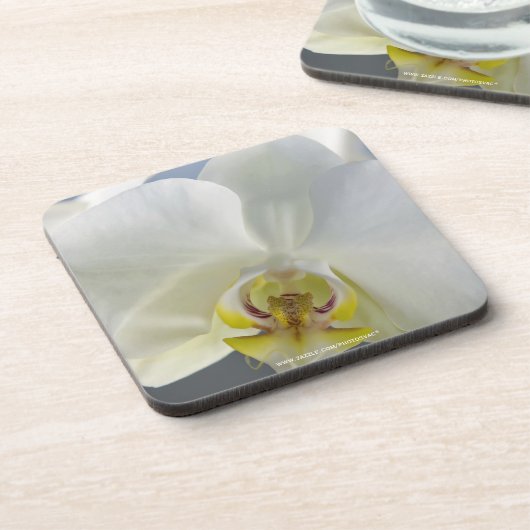 Dessous-de-verre Fleur d'orchidée blanche (Côté gauche)