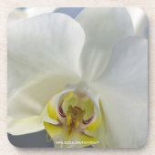 Dessous-de-verre Fleur d'orchidée blanche (Devant)