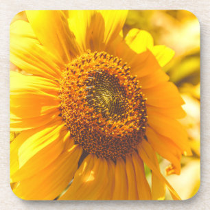 Dessous-de-verre Fleur jaune de tournesol