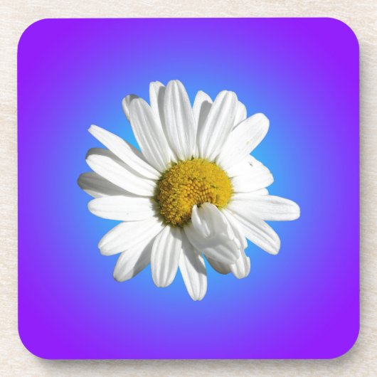Dessous-de-verre Fleur marguerite blanche Flore pourpre Bleu Dégrad (Devant)