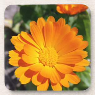 Dessous-de-verre fleur marigée