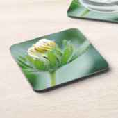Dessous-de-verre Fleur ouverte de l'Echinacea (Côté gauche)