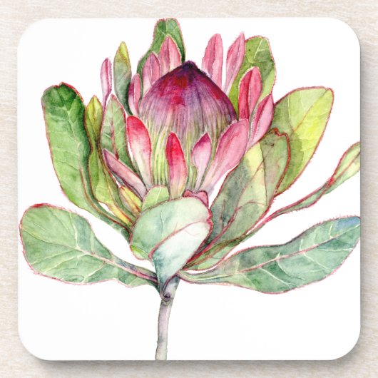 Dessous-de-verre Fleur Protea (Devant)