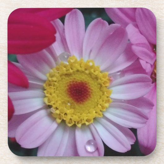 Dessous-de-verre Fleur rose et jaune (Devant)
