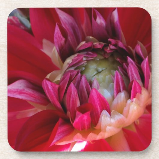 Dessous-de-verre fleur rouge foncé (Devant)